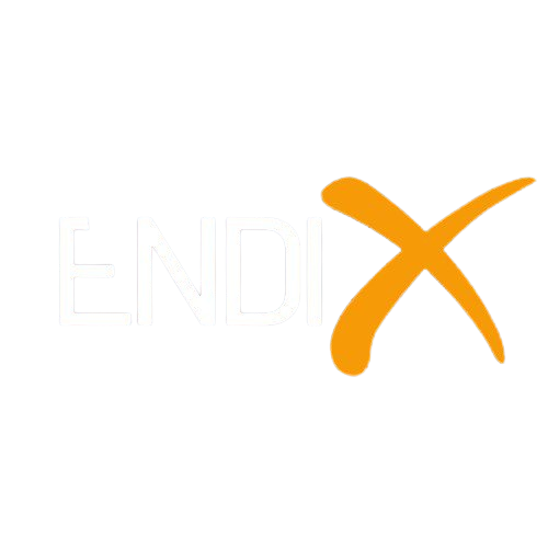 ENDIX